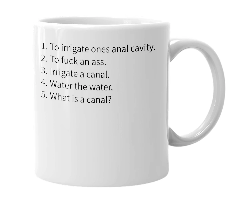 White mug with the definition of 'Irrigate my cANAL'