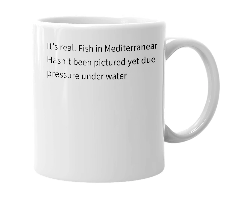 White mug with the definition of 'Harp Fish'