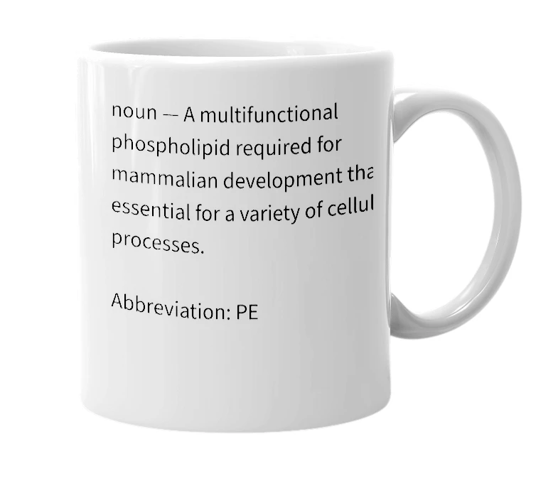 White mug with the definition of 'Phosphatidylethanolamine'