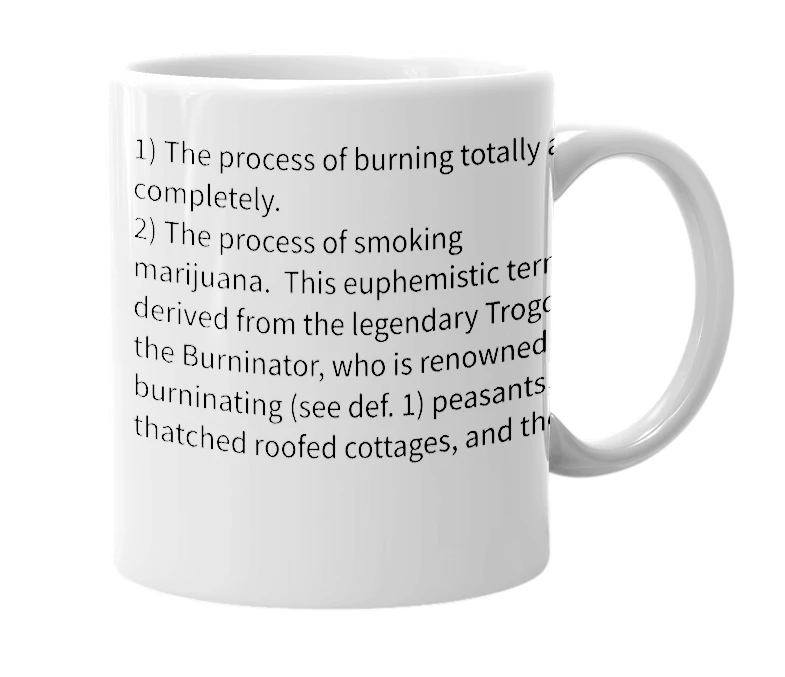 White mug with the definition of 'Burninating'