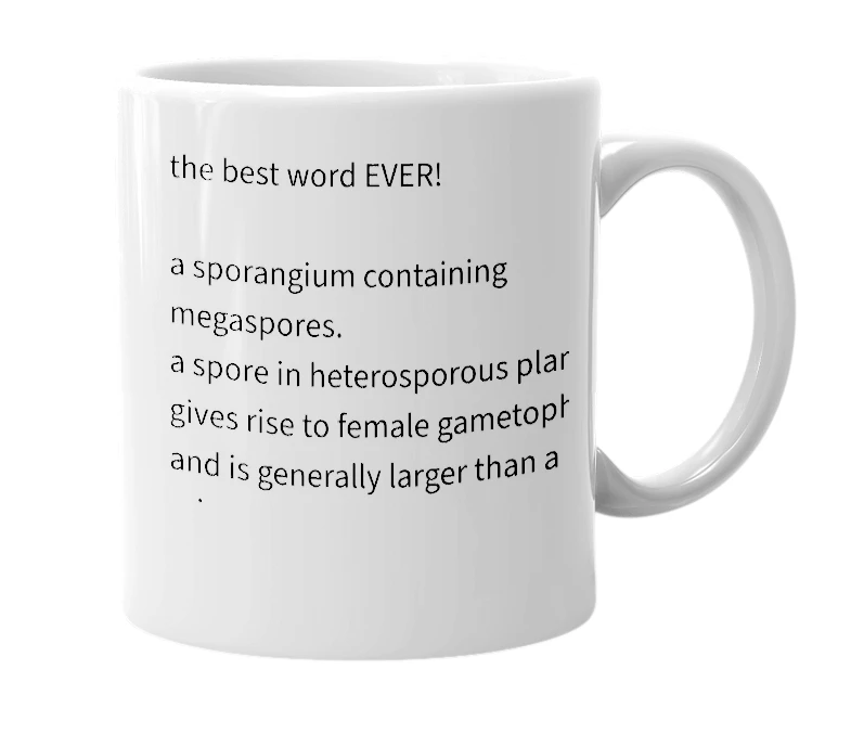 White mug with the definition of 'Megasporangium'