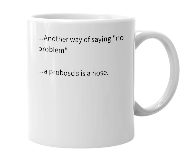 White mug with the definition of 'Nose Proboscis'