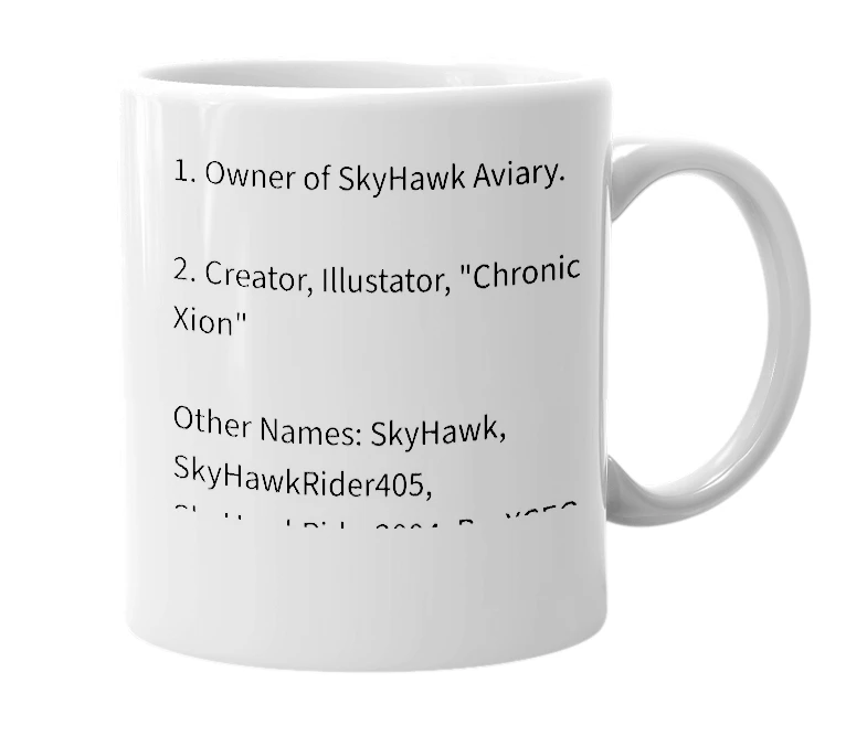 White mug with the definition of 'SkyHawkRider'