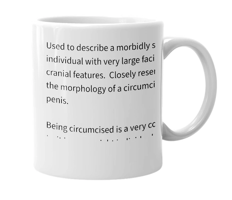 White mug with the definition of 'circumcised'