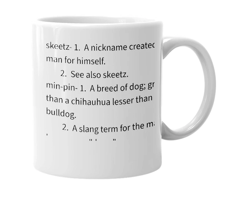 White mug with the definition of 'skeetz min-pin'