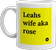 mug