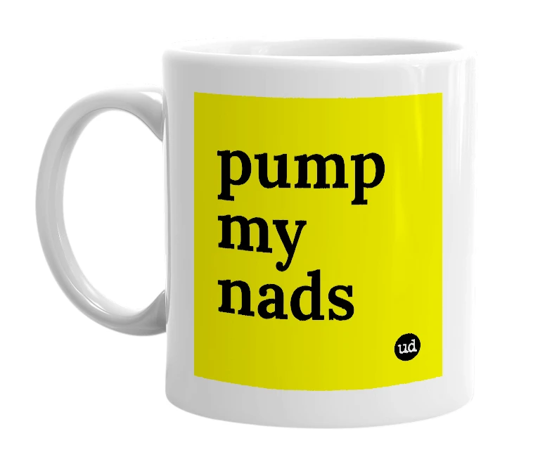 White mug with 'pump my nads' in bold black letters