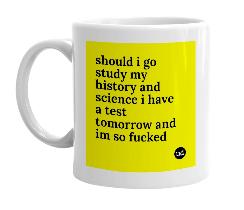 White mug with 'should i go study my history and science i have a test tomorrow and im so fucked' in bold black letters