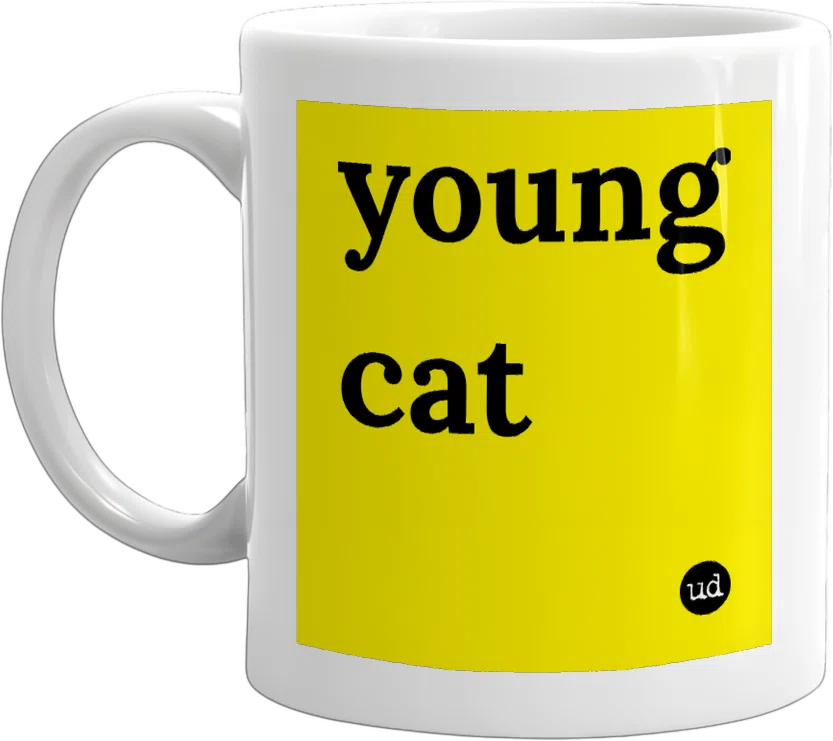 young cat front