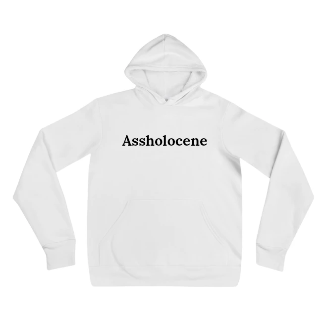 Hoodie with the phrase 'Assholocene' printed on the front