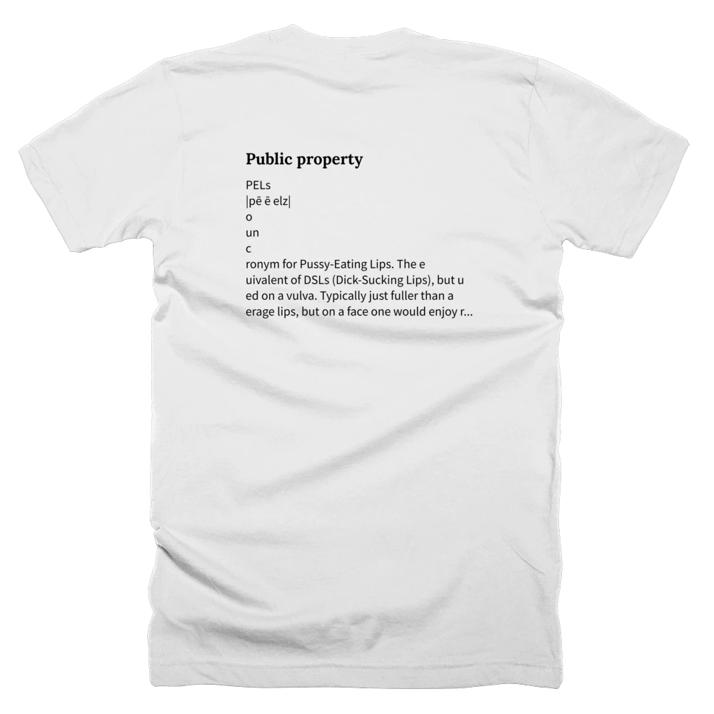 T-shirt with a definition of 'Public property' printed on the back