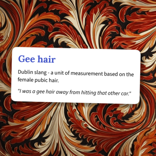 www.urbandictionary.com