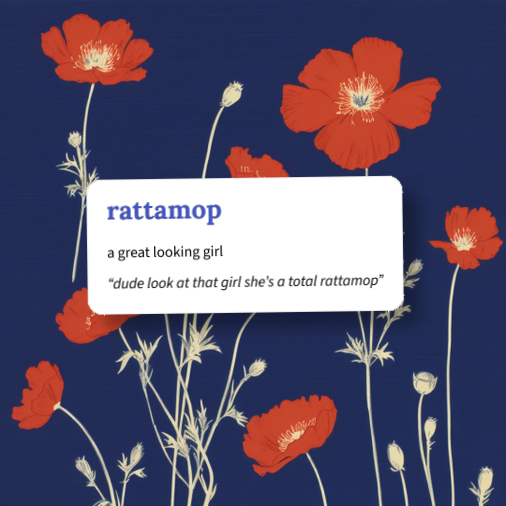 urban-dictionary-rattamop