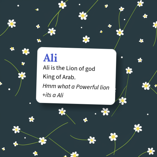 Urban Dictionary: Ali