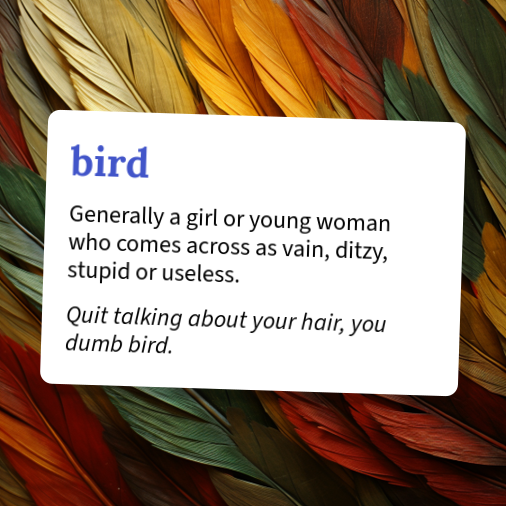 www.urbandictionary.com
