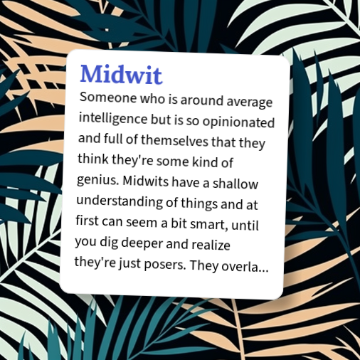 Urban Dictionary: Midwit