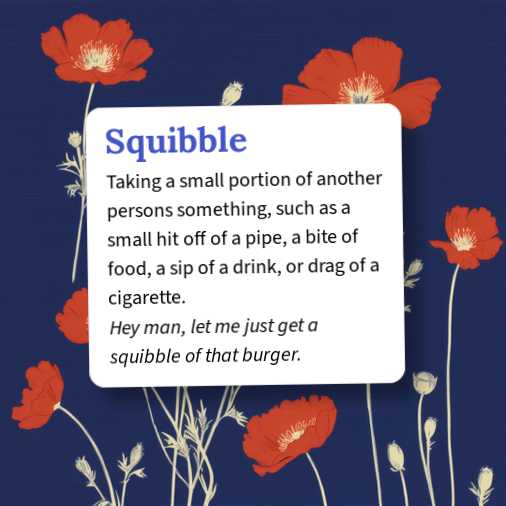 Quibble Example Urban Dictionary: Squibble