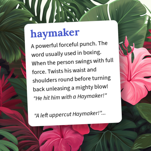 Urban Dictionary: haymaker