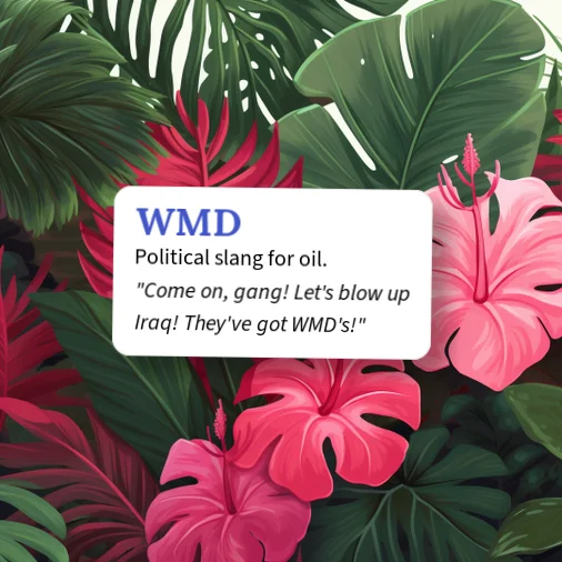 Urban Dictionary: WMD