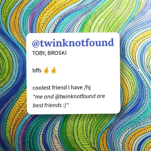 Urban Dictionary: twinkfot