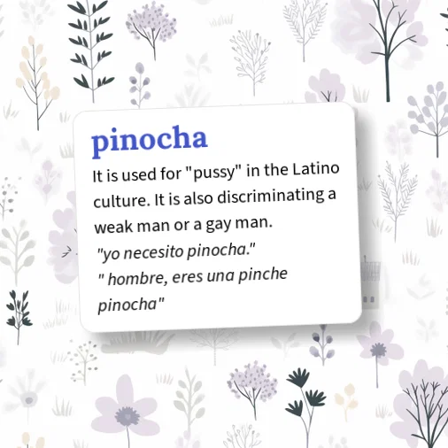 Urban Dictionary: pinocha