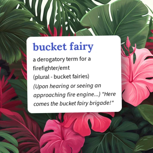 Urban Dictionary: bukke