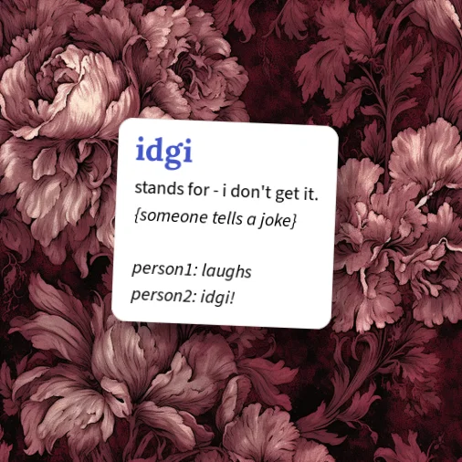 Urban Dictionary: idgi