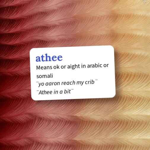 Urban Dictionary: athee