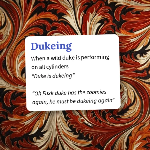 25 Things Duke Example Urban Dictionary: Dukeing