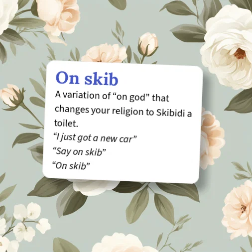 Urban Dictionary: On skib