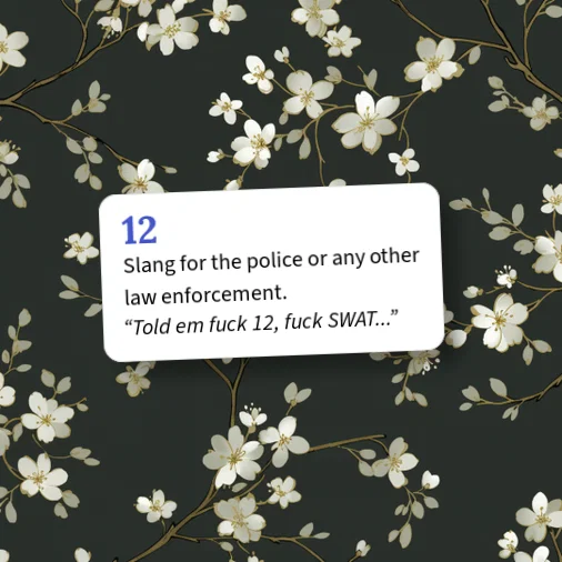 Urban Dictionary: 12
