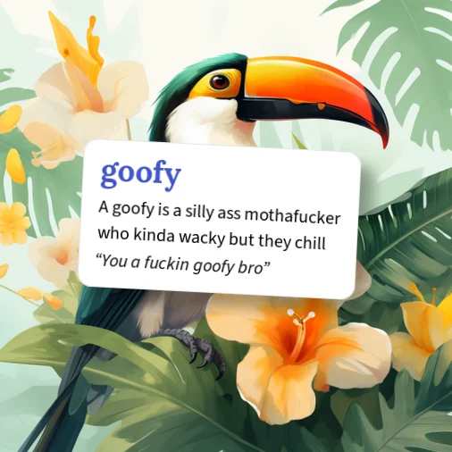 Urban Dictionary: goofy