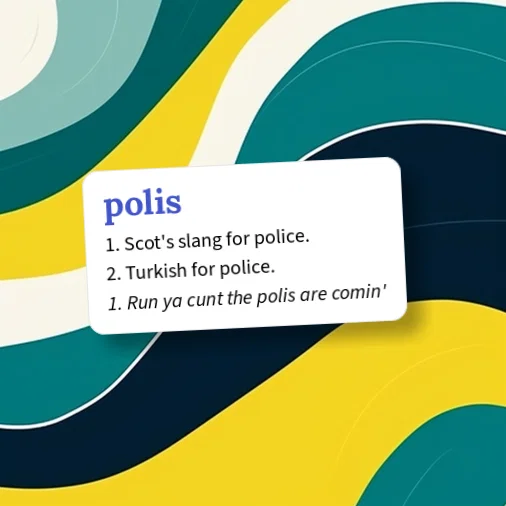 Urban Dictionary: polis