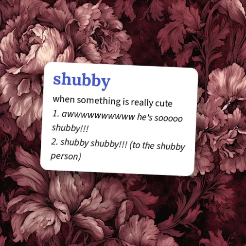 Urban Dictionary: shubby