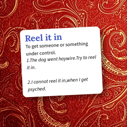 Urban Dictionary: reel it in