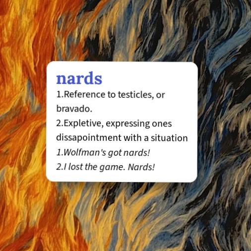 www.urbandictionary.com