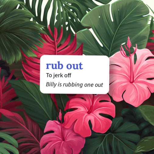 www.urbandictionary.com