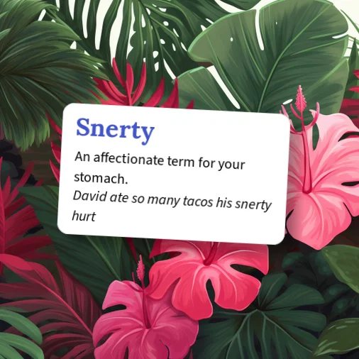 Urban Dictionary: Snerty