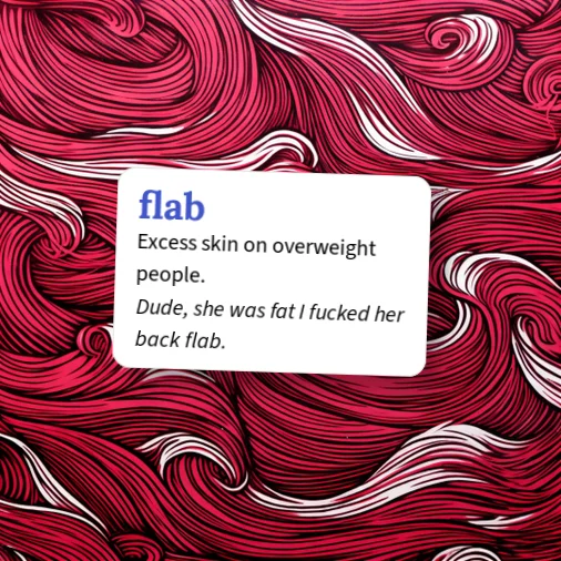 Urban Dictionary: flab