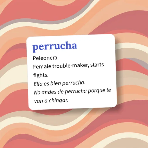 Urban Dictionary: perrucha