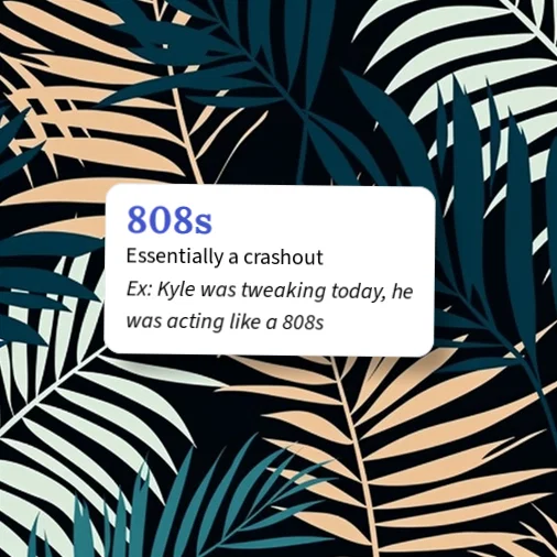 Urban Dictionary: 808s