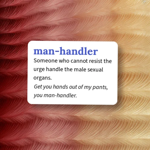 Urban Dictionary: man-handler