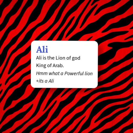 Urban Dictionary: Ali