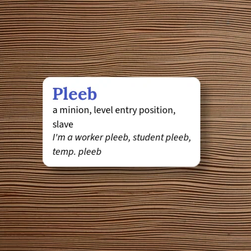 Urban Dictionary: Pleeb