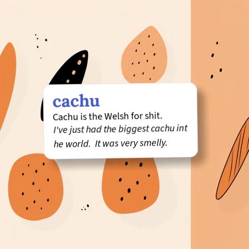 Urban Dictionary: cachu