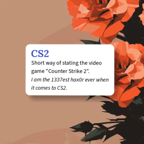 Urban Dictionary: CS2