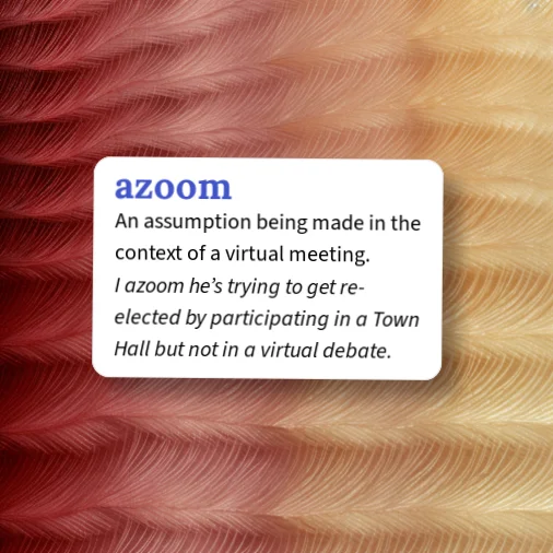Urban Dictionary: azoom