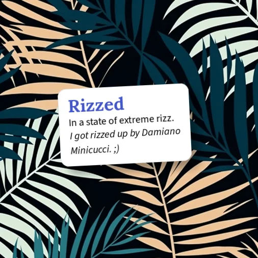 Urban Dictionary: Rizzed