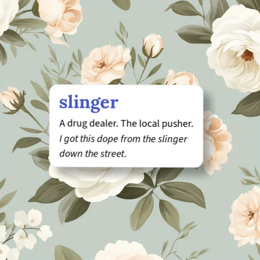 Urban Dictionary: slinger