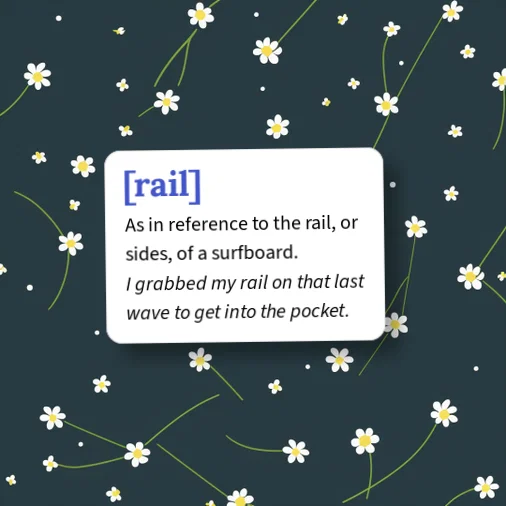 Urban Dictionary: [rail]